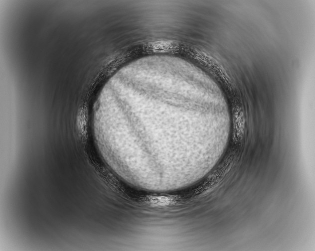 X0000093530698200711021311