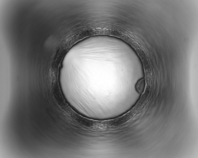 X0000093530699200711021311