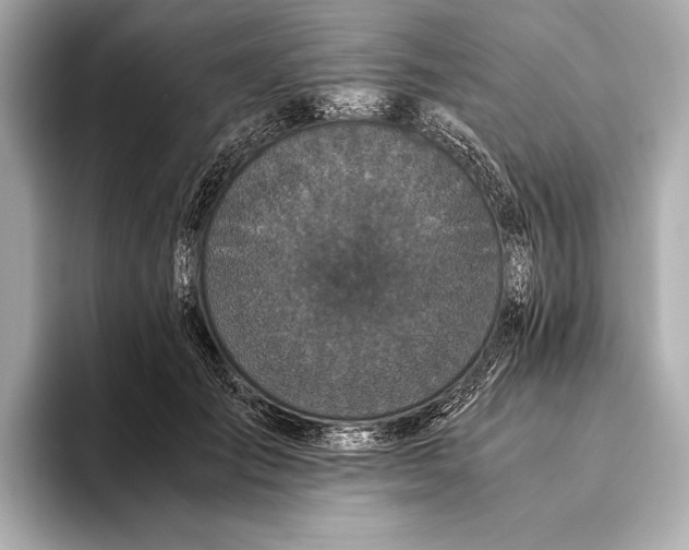 X0000093530701200711021311