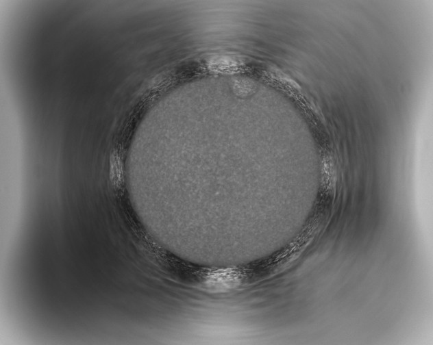 X0000093530705200711021311