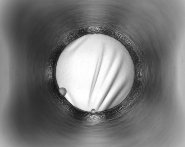 X0000093530706200711021310