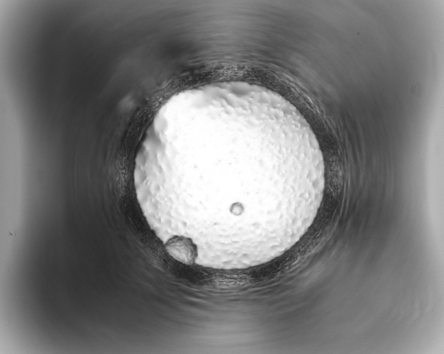 X0000093530707200711021310