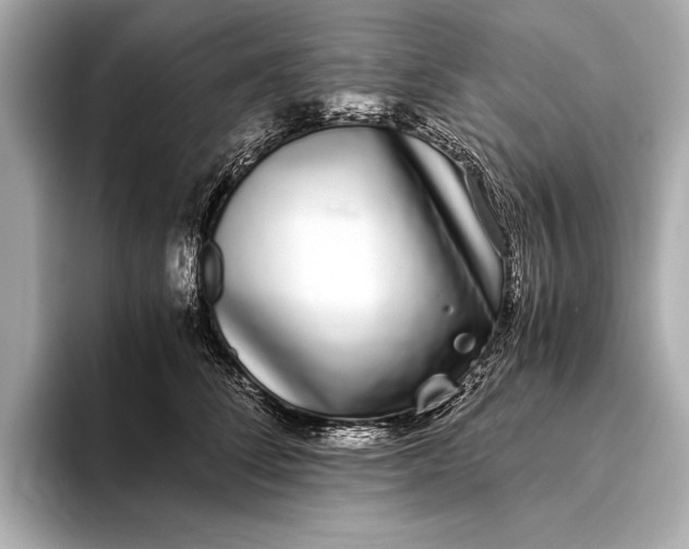 X0000093530708200711021310