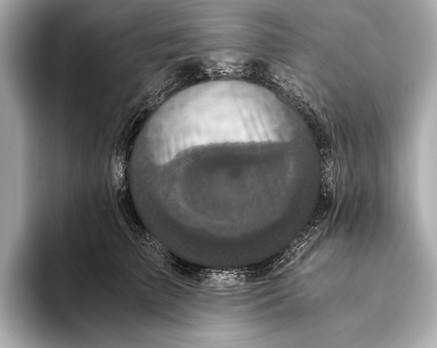 X0000093530709200711021310