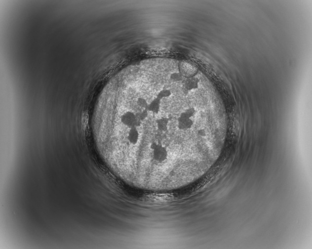 X0000093530711200711021310