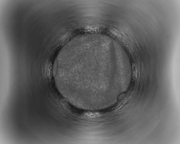 X0000093530712200711021310