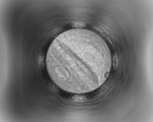 X0000093530714200711021310