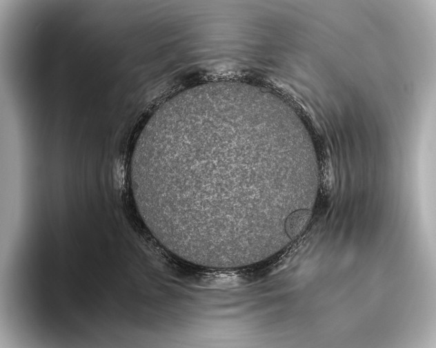 X0000093530715200711021310