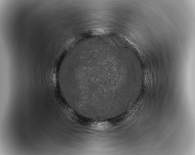 X0000093530716200711021310