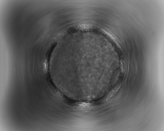 X0000093530718200711021310