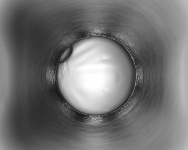 X0000093530719200711021310