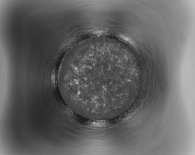 X0000093530720200711021310