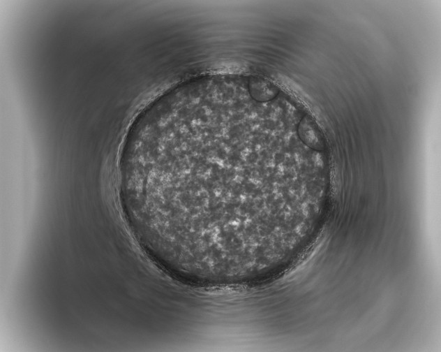 X0000093530721200711021310