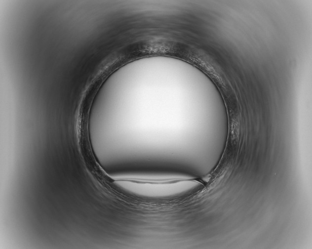 X0000093530722200711021310