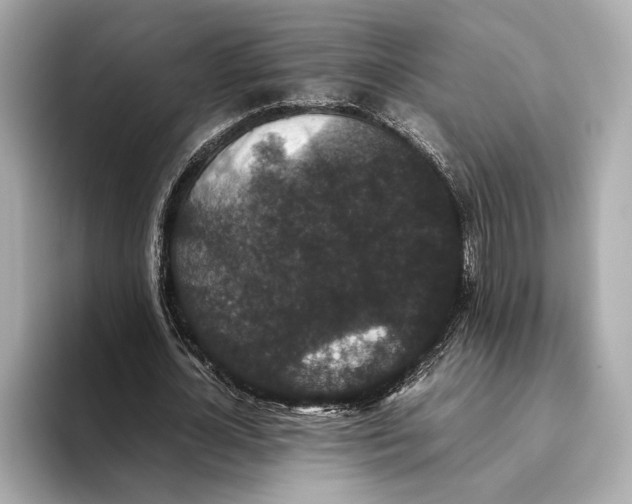 X0000093530724200711021310