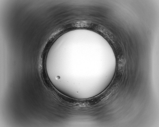 X0000093530727200711021310