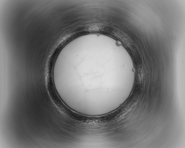 X0000093530728200711021310