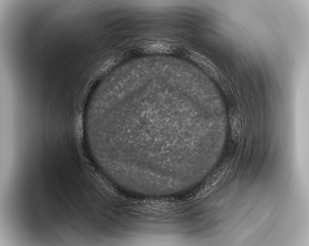 X0000093530729200711021310