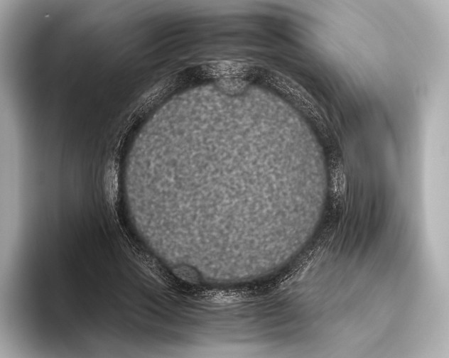 X0000093530733200711021310