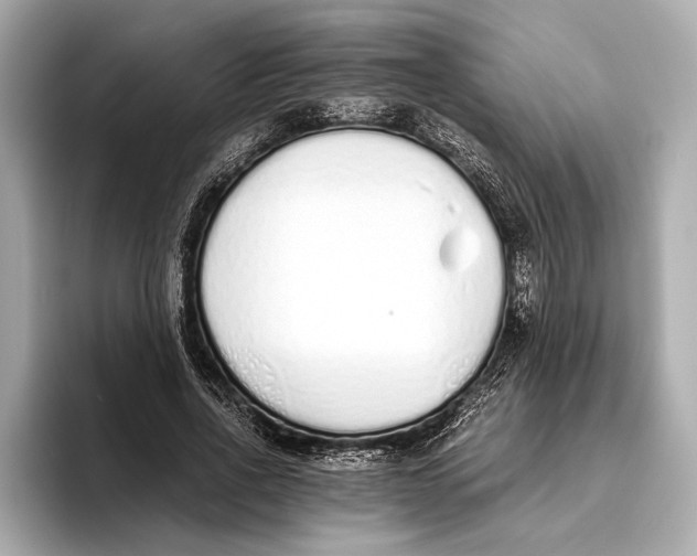 X0000093530734200711021310