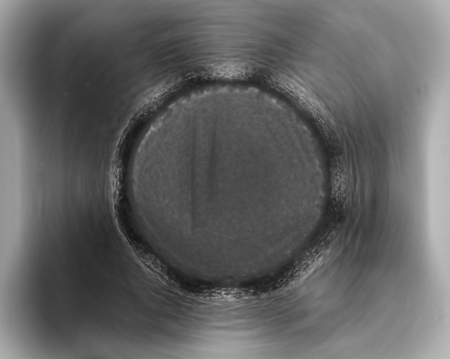 X0000093530736200711021310