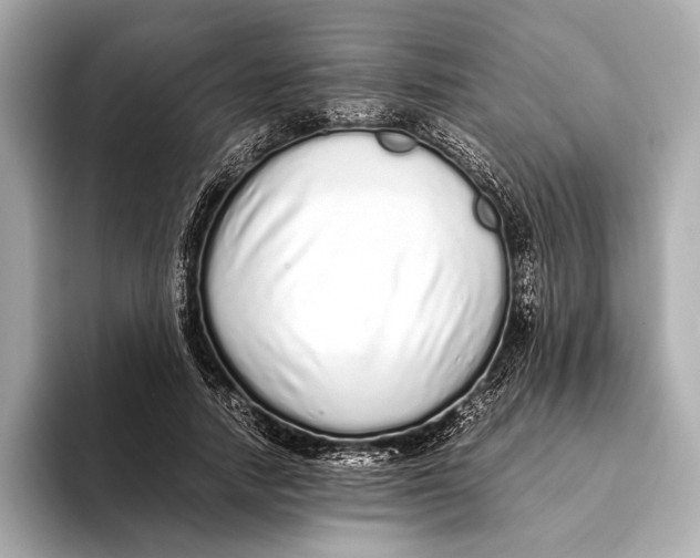 X0000093530738200711021310