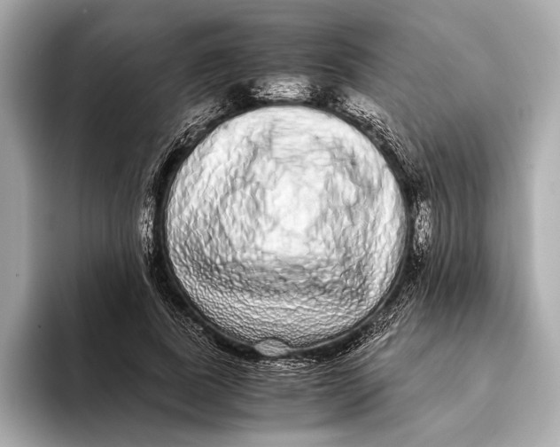 X0000093530739200711021310