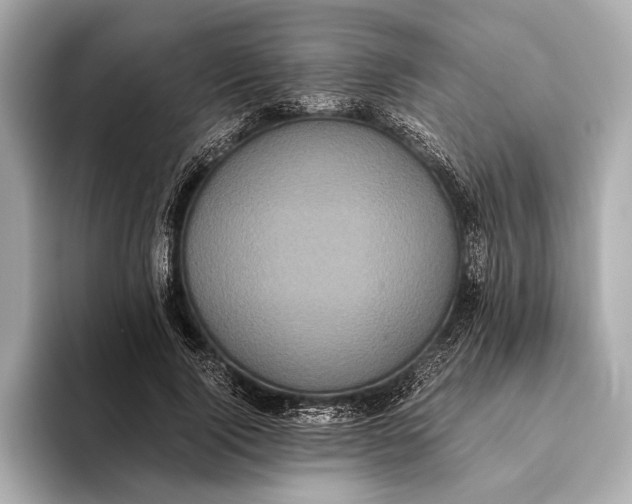 X0000093530740200711021310