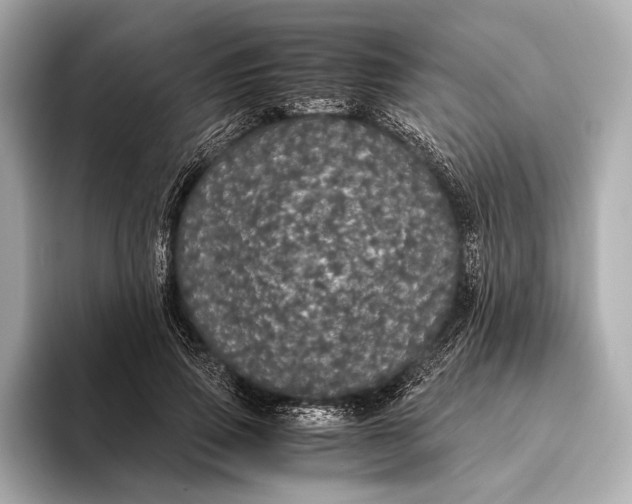 X0000093530741200711021310