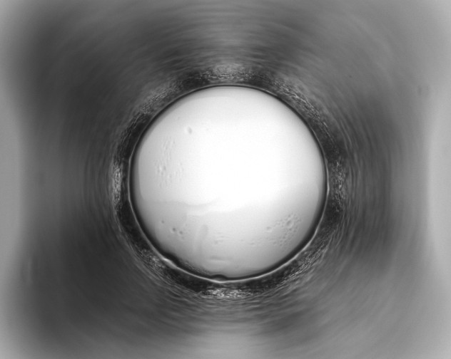 X0000093530742200711021310