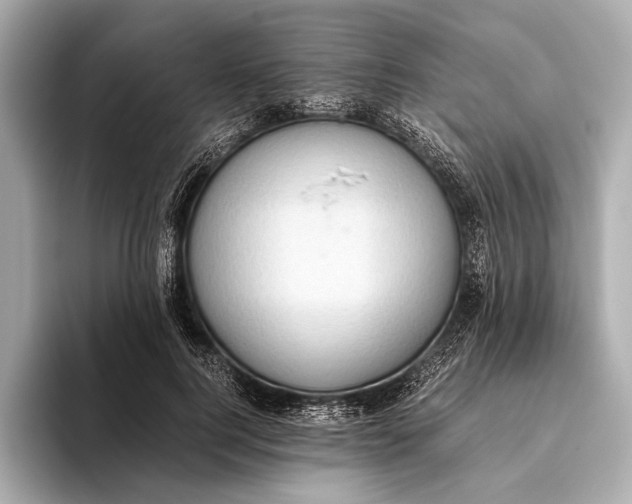 X0000093530744200711021310