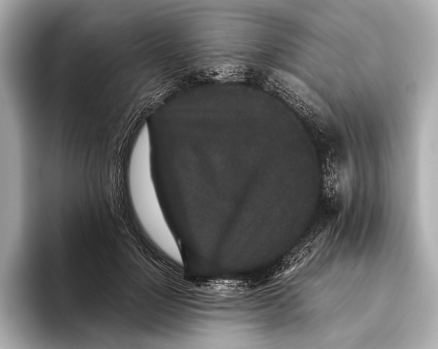 X0000093530748200711021310