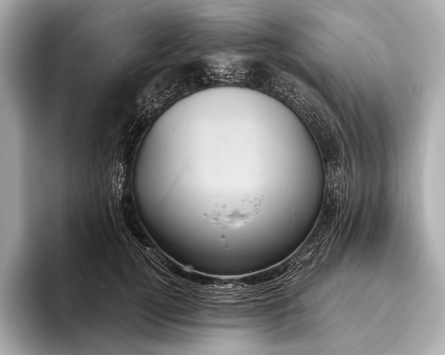 X0000093530752200711021310