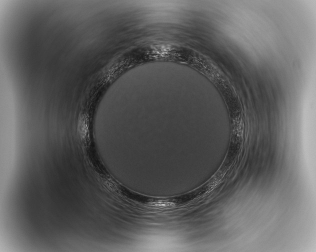 X0000093530754200711021310