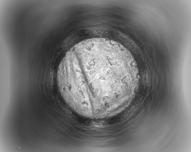 X0000093530757200711021310