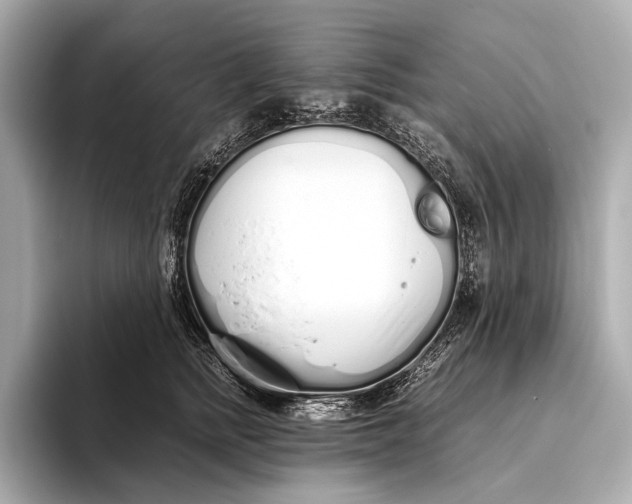 X0000093530758200711021310