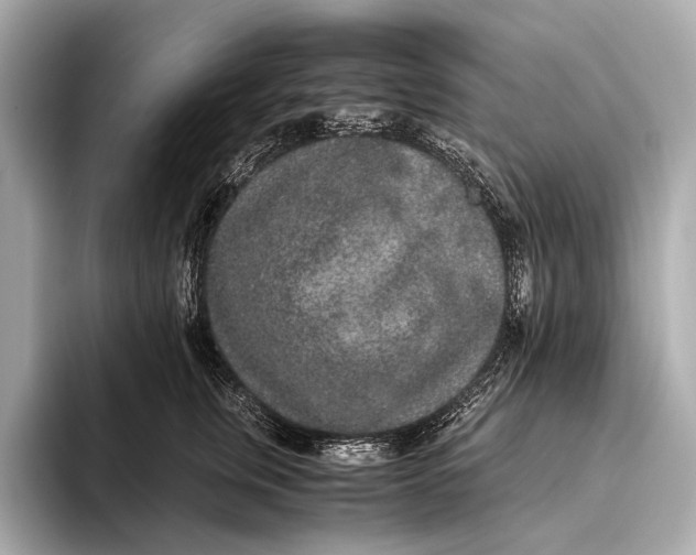 X0000093530759200711021310