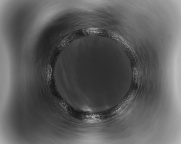 X0000093530760200711021310