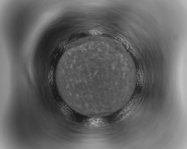 X0000093530762200711021310