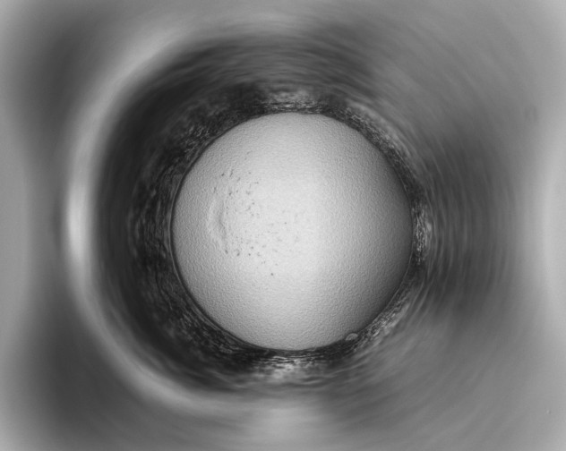 X0000093530764200711021310