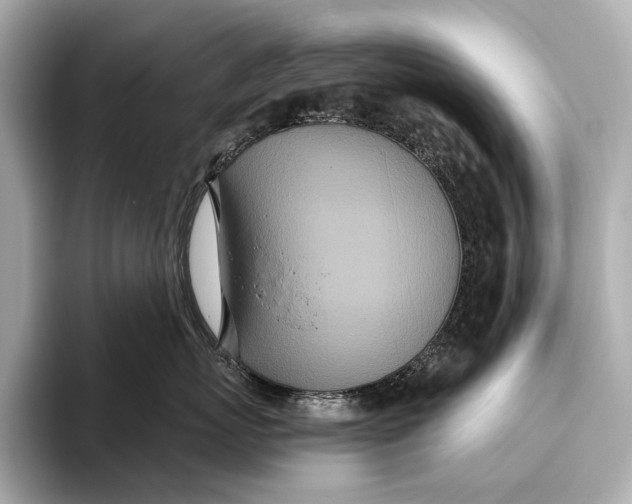 X0000093530767200711021310