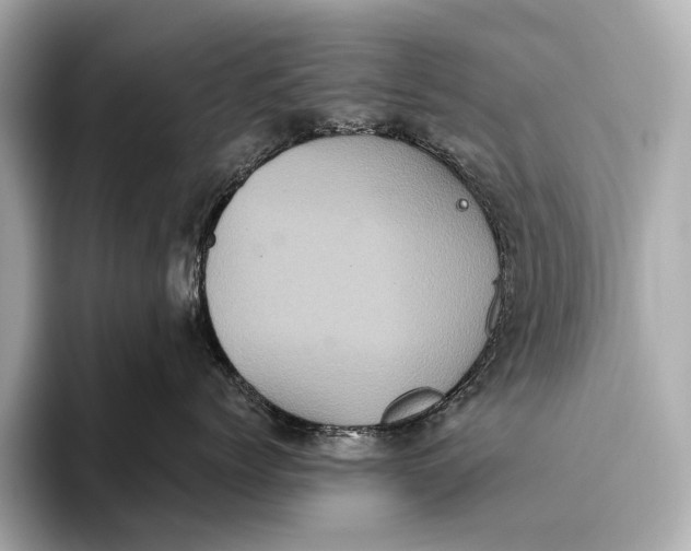 X0000093530768200711021310