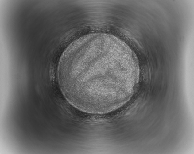 X0000093530770200711021310