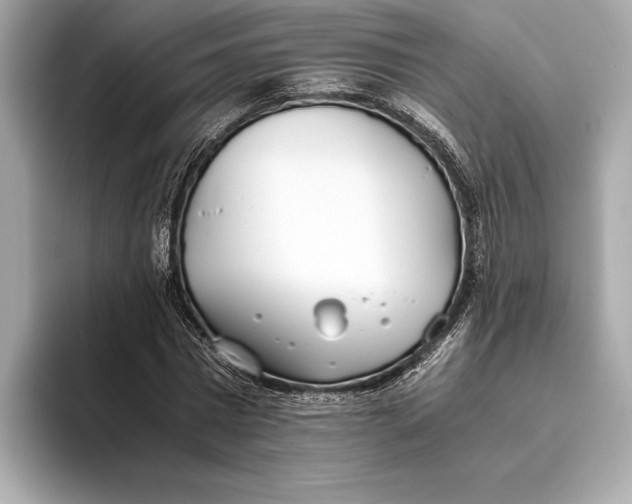 X0000093530777200711021310