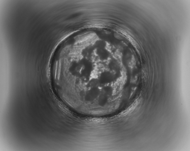 X0000093530779200711021310