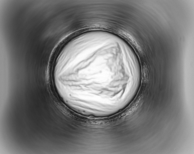 X0000093530780200711021310