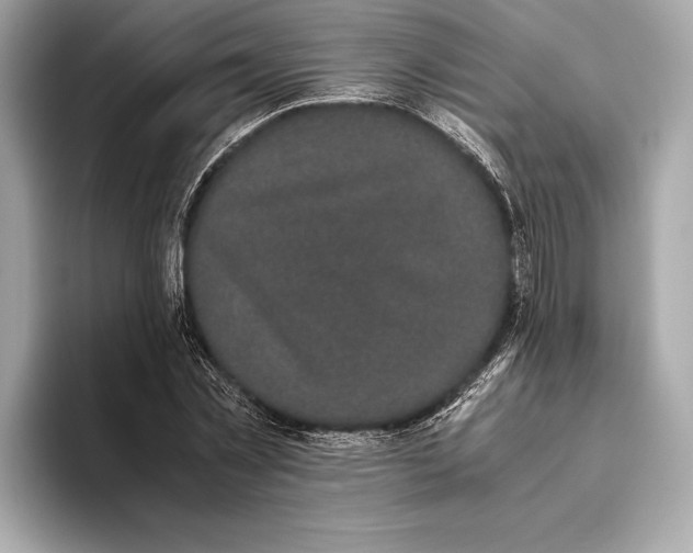 X0000093530781200711021310