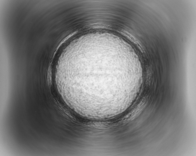 X0000093530782200711021310