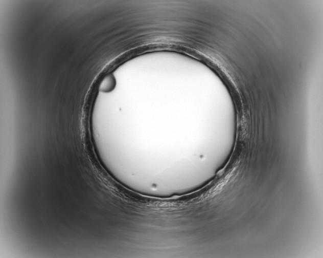 X0000093530783200711021310