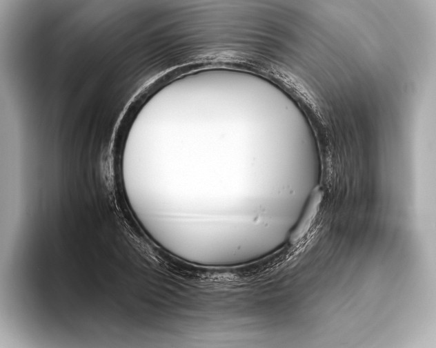 X0000093530784200711021310